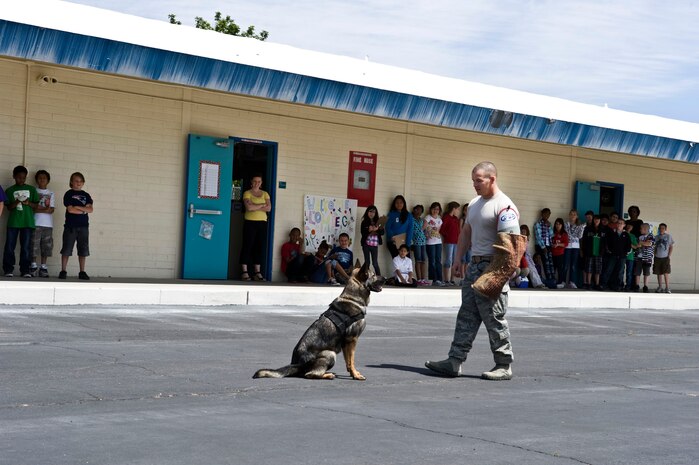 NELLIS AIR FORCE BASE, Nev.-- Staff Sgt.  Dedrick Callahan, 99th Security Forces Squadron, military working dog handler, is doing a working dog demonstration. The Career Event is a three day event where all Lomie Heard students get a chance to see multiple career paths available in and out of the military.(U.S. Air Force photo by Airman 1st Class Matthew Lancaster)