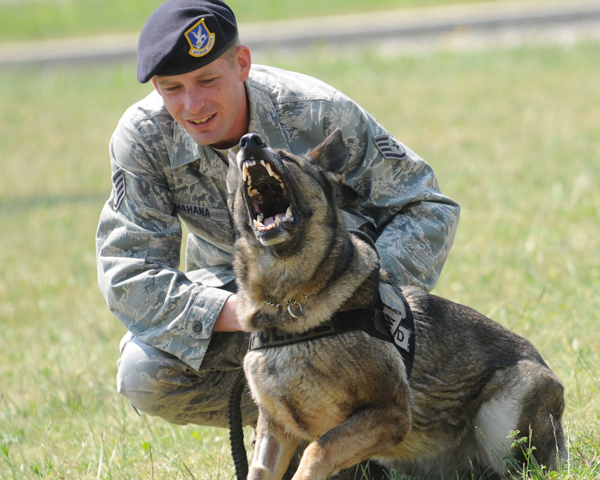 Staff Sgt. Kevin Mahana, 31st Security Forces Squadron military working dog handler demonstrates how an MWD follows commands during the aviano children’s Deployment Line May 5. The 603rd Air Control Squadron hosted the simulated deployment line for children from Aviano elementary and middle schools, with help from volunteers from around the base, to help children better understand their parents’ duties in the military. (U.S. Air Force photo/Airman Briana N. Jones).