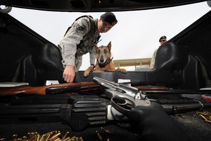 MOUNTAIN HOME AIR FORCE BASE, Idaho – Staff Sergeant Robert Wilson, 366th Security Forces Squadron Military working dog handler, and his dog, Tanja, discover a vehicle trunk full of improperly stored personally owned weapons. All firearms must be locked, kept out of sight and separate from ammunition while being transported on base. (U.S. Air Force photo by Senior Airman Debbie Lockhart)