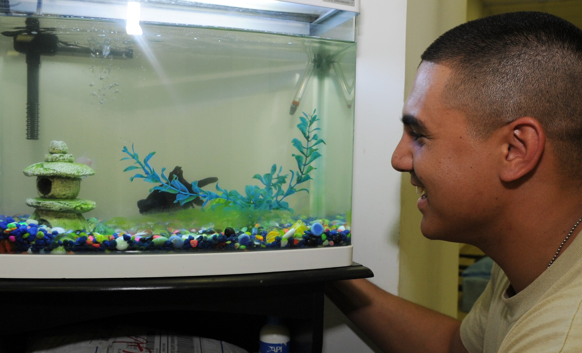 JOINT BASE BALAD, Iraq--U.S. Air Force Staff Sgt. Abraham Agiba, 332nd Expeditionary Medical Group medical technician, takes a moment to observe the fish May 12, 2011. The United Pet Group Tetra (PETA) donated the fish to the Contingency Airlift Staging Facility in honor of U.S. Army Sergeant Jesse A. Ault. Sergeant Ault was killed in action April 9, 2008. (U.S. Air Force photo/Staff Sgt. Keyonna Fennell) 