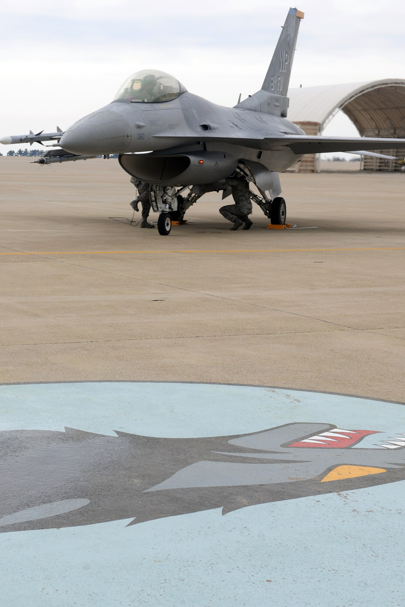 KUNSAN AIR BASE, Republic of Korea -- Col. John Dolan, 8th Fighter Wing commander, powers down his F-16 Fighting Falcon after his fini flight here May 12. This time honored tradition calls for a celebratory event where fire trucks join the crowd in welcoming the pilot back and hose him down with the water. (U.S. Air Force photo/Senior Airman Brittany Y. Bateman)