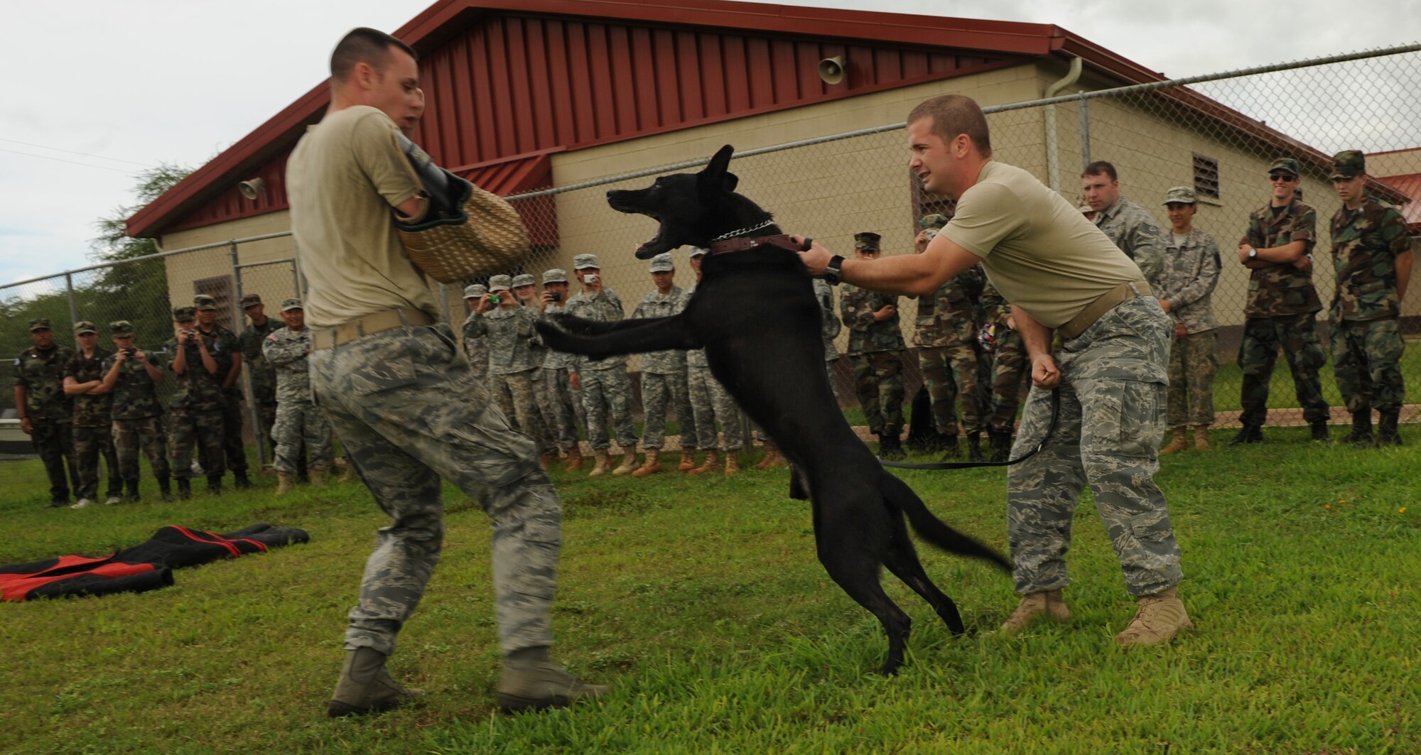 Staff Sgt. Nathan Combs, military working dog trainer with the 647th Security Forces Squadron braces as he prepares to get bitten by Aron, MWD with the 647th SFS, while Junior ROTC students from various high schools look on May 12. The students participated in a showcase of the careers that the Air Force has to offer. (U.S. Air Force photo/Senior Airman Lauren Main)