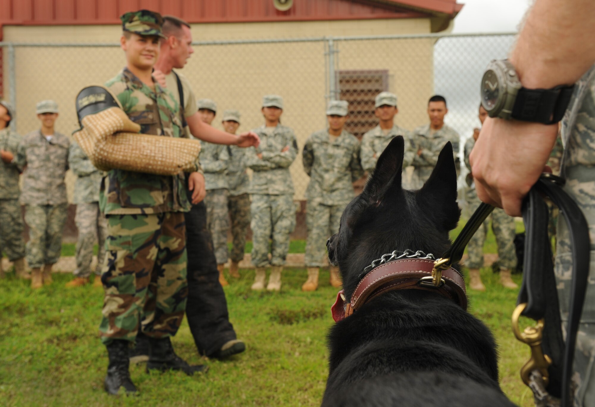 Jacob Janssen, Radford High School Junior ROTC student, holds a firm arm for Aron, MWD with the 647th Security Forces Squadron, to perform a controlled, supervised bite May 12. The demonstration was part of a tour for JROTC students from various high schools to showcase the careers the Air Force offers. (U.S. Air Force photo/Senior Airman Lauren Main)