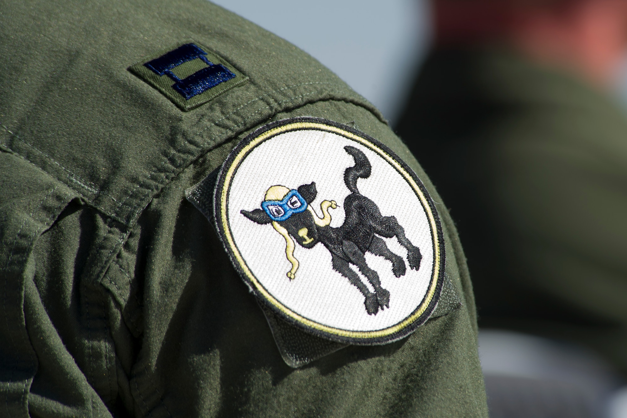HOLLOMAN AIR FORCE BASE, N.M – A member of the 8th Fighter Squadron wears the historic “Black Sheep” patch, May 13, 2011, during the 8th Fighter Squadron  inactivation ceremony. The 8th FS, known as the “Black Sheep,” was first activated in January 1941 and its mission and aircraft have transitioned several times to support the emerging needs of the Air Force. Starting with the P-40 Warhawk, the “Black Sheep” have led the way in fielding, flying and employing the Air Force’s newest air superiority aircraft. Currently flying the F-22 Raptor, the unit’s inactivation means that its Airman and aircraft will be relocated to other units on Holloman. The famed “Black Sheep”” patch, name, and colors will be maintained by Air Force historians for reactivation when needed. (U.S. Air Force photo by Tech Sgt. Joe Laws / Released)