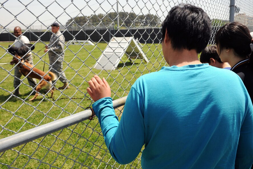 KUNSAN AIR BASE, Republic of Korea -- Children from the Samsung Orphanage watch a K-9 demonstration here May 14. After a K-9 demonstration, the children enjoyed popcorn, hotdogs, a movie and bowling with security forces Airmen. (U.S. Air Force photo/Senior Airman Brittany Y. Bateman)