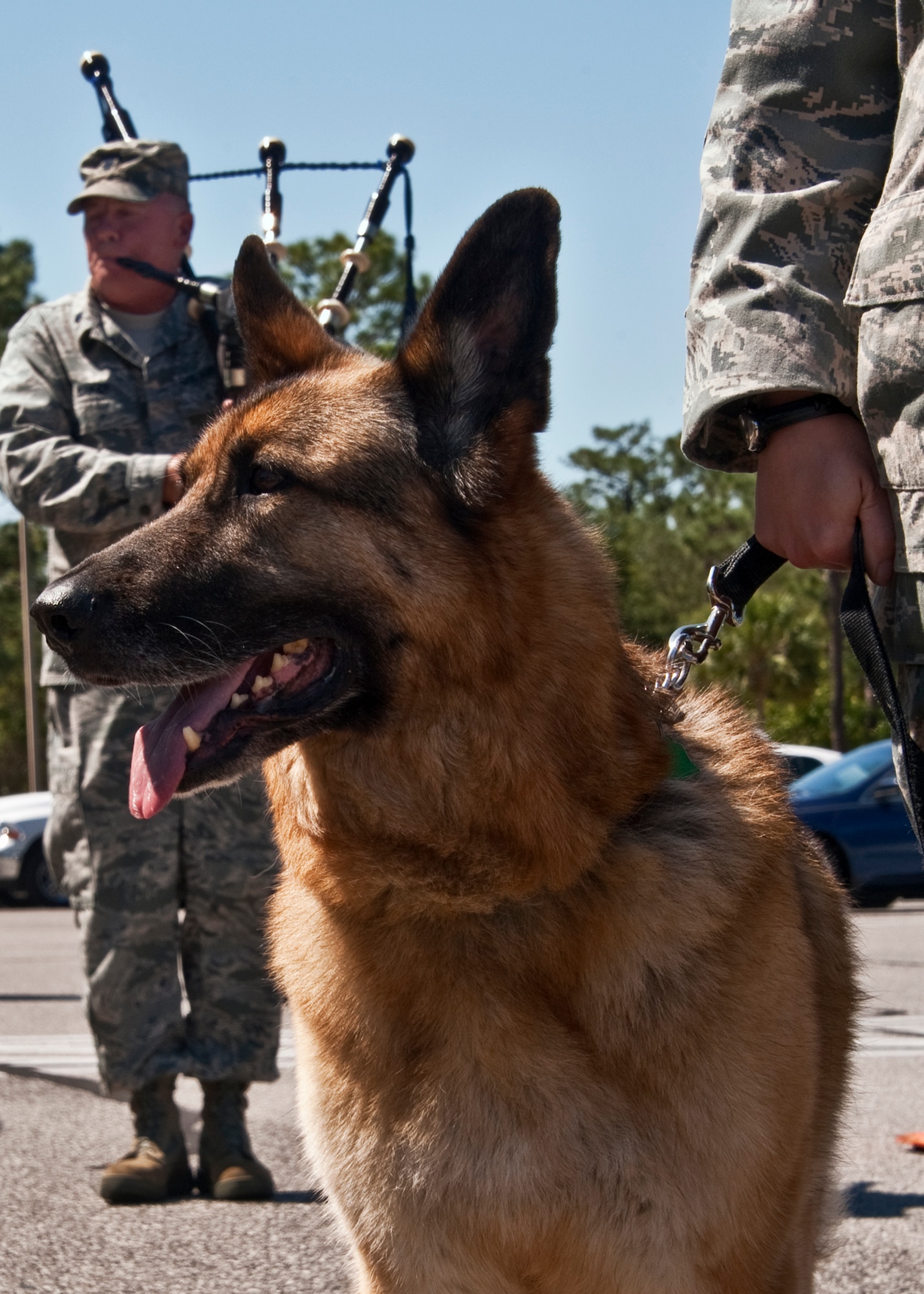 Military Working Dog Bak watches as Lt. Col. Ken Baker, 919th Mission Support Group, performs “Amazing Grace” on his bagpipes during the MWD memorial ceremony May 17 at the Air Armament Museum.  Bak, who served two deployments in Iraq and Afghanistan, retired in March and was adopted by Tech. Sgt. Rebecca Lind, 1st Special Operations Security Forces Squadron.  The ceremony was just one of the events happened for Police Week.  (U.S. Air Force photo/Samuel King Jr.)

