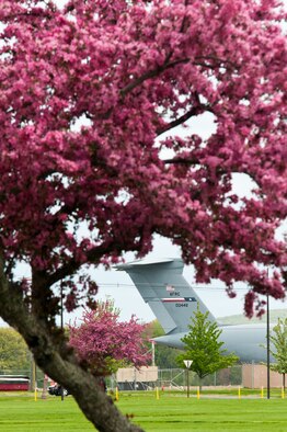 The bright pink blossoms found all throughout Westover ARB are a nice contrast to the white snow that blanketed Westover this past winter. The bright color is a refreshing reminder that spring has sprung. (courtesy photo/W.C.Pope)