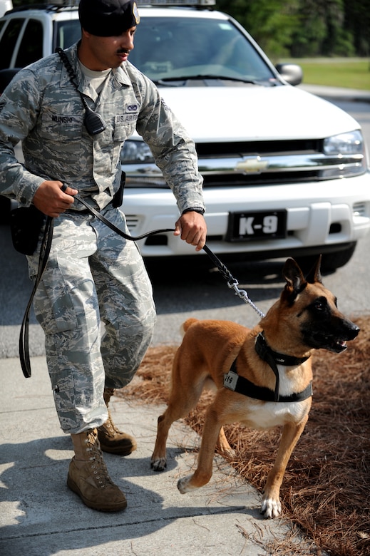 Staff Sgt. Fazel Munshi maintains control over his dog Ardon before a working dog demonstration on Joint Base Charleston, May 14. Sergeant Munshi and other dog handlers held the demonstration and provided a tour of the JB CHS kennels to members of the 50th Air Police Squadron assigned to Hahn Air Base, Germany during the 1960s. The group was in Charleston celebrating their 50-year reunion. Sergeant Munshi is a dog handler with the 628th Security Forces Squadron.
 (U.S. Air Force photo/ Staff Sgt. Nicole Mickle (released)  