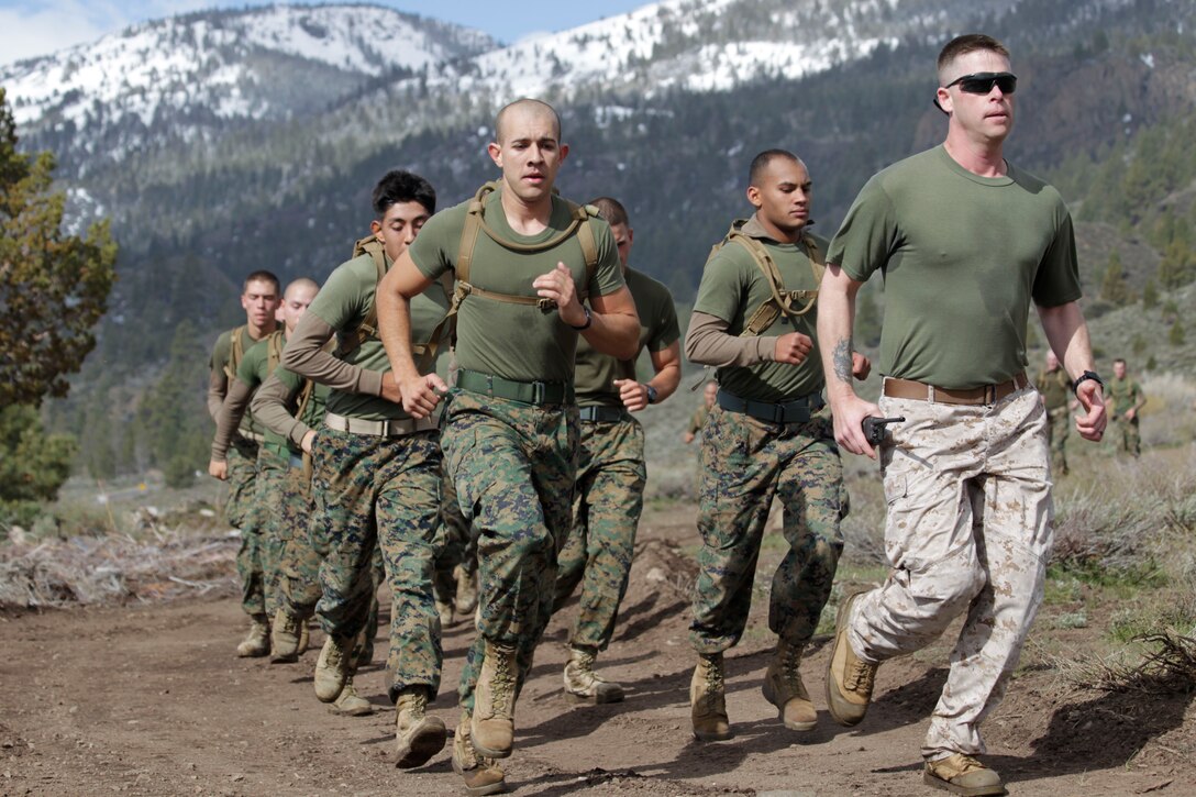 Marines in the Assault Climbers Rehearsal Course stay in shape by running the mountain trails of the Mountain Warfare Training Center May 18, 2011.::r::::n::