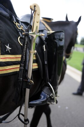 Sergeant York, a riderless capparisoned horse, moves into position for the start of Brig. Gen. Bain MicClintock's funeral ceremony at Arlington National Ceremony May 18, 2011. The riderless capparisoned horse, with reversed riding boots, symbolizes the commander looking back at his troops as he rides off for the last time. Only colonels and generals in the Army and Marine Corps are honored with the riderless horse, since they formerly employed cavalry units.