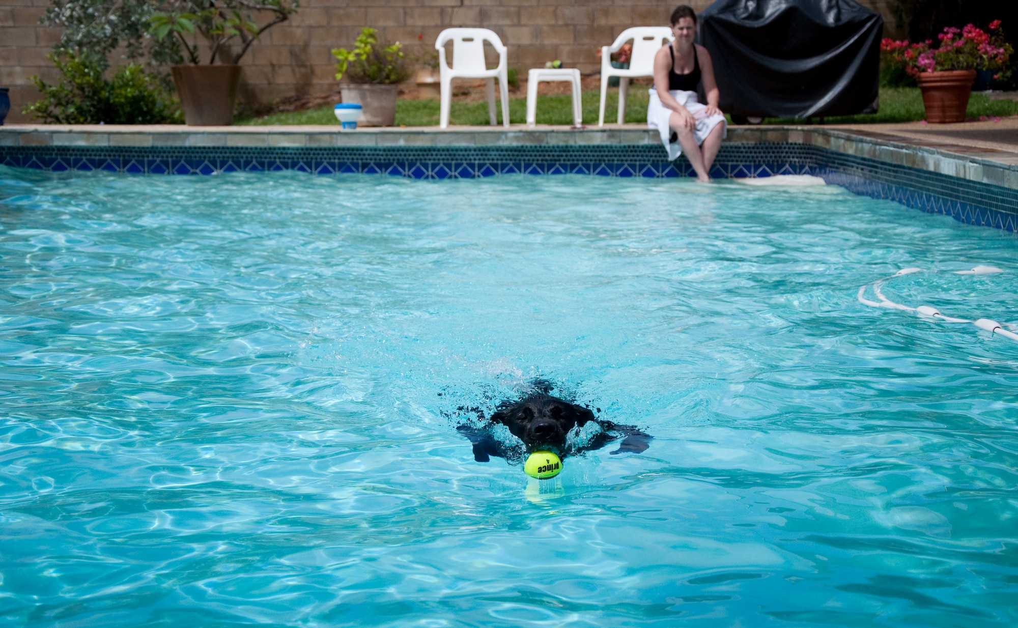 Irene Temple watches as Maltby, a black lab who is part of the National Explosives Detection K-9 team program, fetches a tennis ball in her parents, Bob and Ronnie Molyneux,’ pool in Kaneohe, Hawaii. Maltby is named after Christian Maltby, a 9/11 victim who was a good friend of the Molyneux family. (U.S. Air Force Photo/Staff Sgt. Erin Smith)