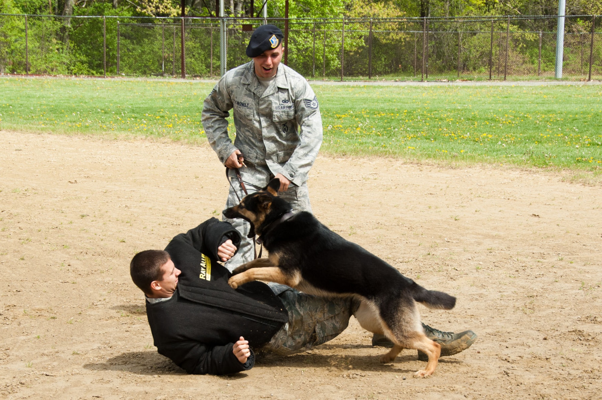 HANSCOM AIR FORCE BASE, Mass. – Staff Sgt. John Twomey (standing) instructs Military Working Dog Peta to attack Staff Sgt. Joseph Teresi during a MWD demonstration on the softball fields May 11.The 66th Security Forces Squadron hosted many demonstrations, events and activities for Police Week May 9 through 13. Money raised during the week was given to the Air Force Security Police Association and the Domestic Violence Services Network. (U.S. Air Force photo by Rick Berry)