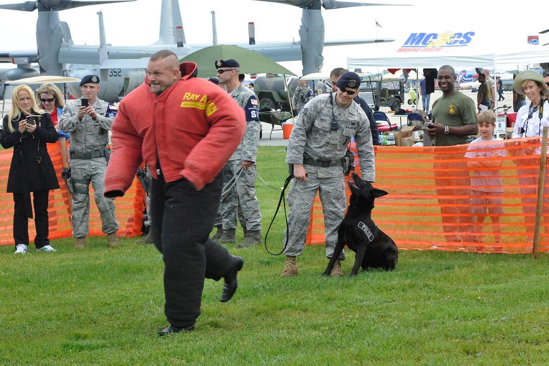 Staff Sgt. Joseph Stoltz, 11th Security Forces Squadron military working dog handle, prepares his k-9 Lana, an 11th Security Forces Squadron military working dog, to demonstrate a controlled aggression scenario on volunteer Chuck “the ice man” Lidell, mixed martial arts legend, during the 2011 Joint Service Open House here. JSOH affords the public an opportunity to meet the men and women of the Armed Forces and to see military equipment from the Navy, Marines, Army, Air Force, and Coast Guard. JSOH is planned and conducted through the efforts of active duty, guard and reserve service members, as well as civilian employees, retirees and family members. (U.S Air Force photo by Senior Airman Melissa V. Brownstein)