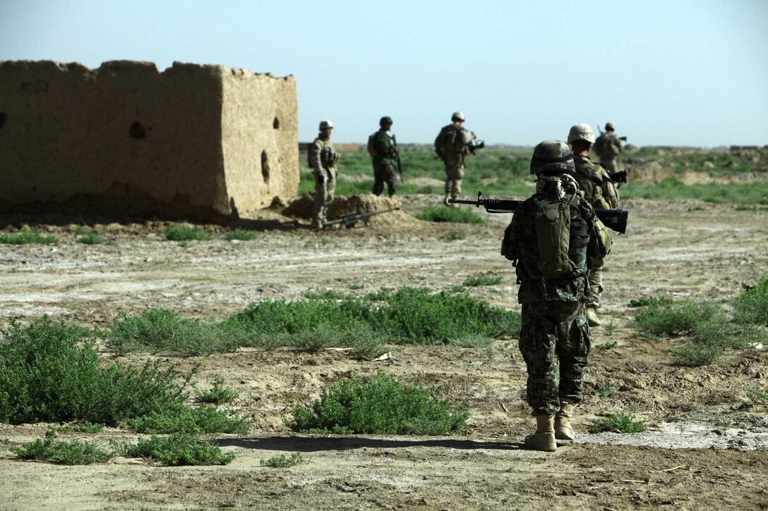 Marines with 3rd Battalion, 9th Marine Regiment and Afghan National Army soldiers conduct a census patrol here, May 20, 2011. The Marines with 3/9 conducted census and security patrols after the battalion expanded its area of operations during Operation Harvest Moon.