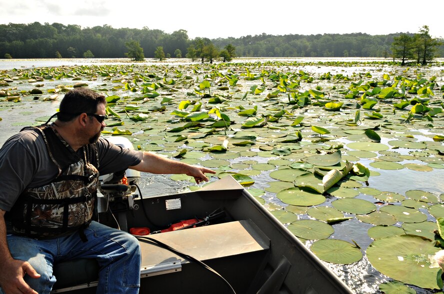 Mark Gates, 2nd Civil Engineer Squadron, points to a lily pad growing in Flag Lake on Barksdale Air Force Base, La., May 24. The Natural Resources office monitors the density of the lillies throughout the year as they can infest slow-moving bodies of water and are difficult to eradicate.(U.S. Air Force photo/Senior Airman Kristin High)(RELEASED) 