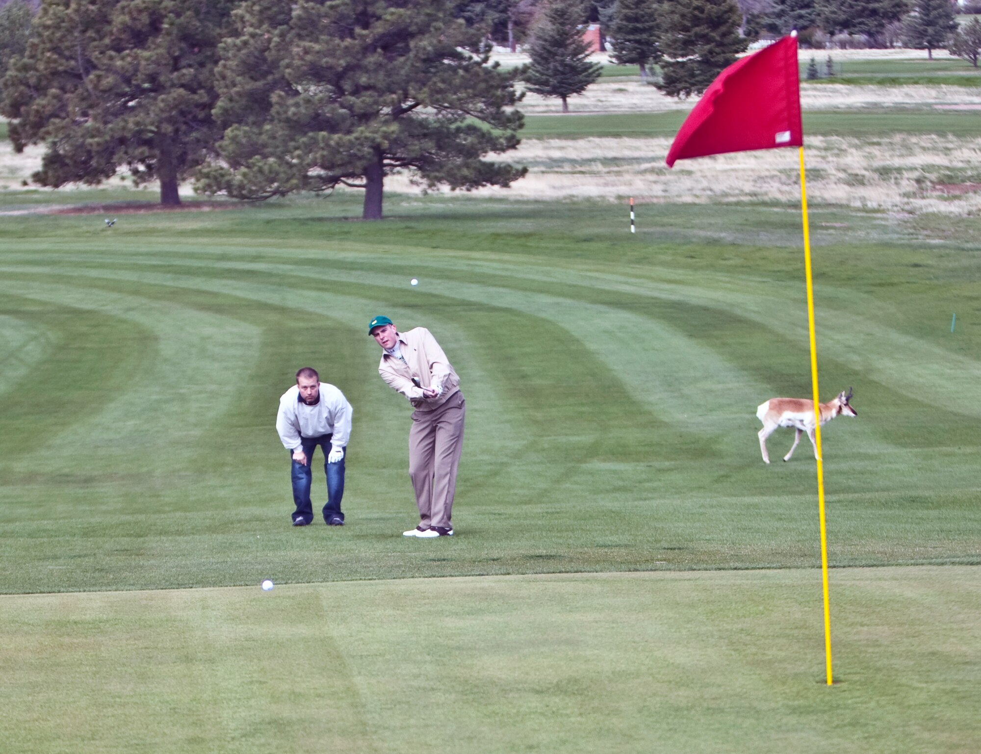One of Warren’s antelope crosses the fairway as 1st Lt. James Henline watches Capt. Dylan Monaghan, both from 90th Operations Support Squadron, take a shot at the green during Warren’s 90th Security Forces golf tournament May 20 during the National Police Week observance here. (U.S. Air Force photo by Matt Bilden)
