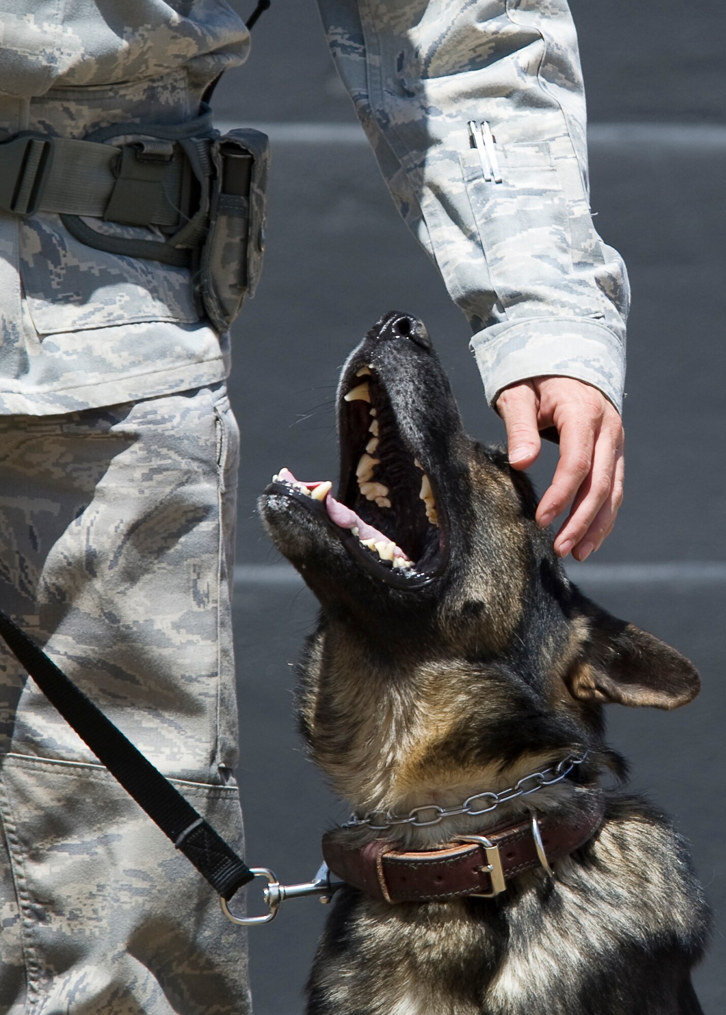 HOLLOMAN AIR FORCE BASE, N.M. -- Staff Sgt. Joel Munson, 49 Security Forces kennel trainer, pets military working dog Roki M628, during patrol training, May 5, 2011, at the obstacle course. Trainers at the kennel ensure handlers and their assigned canines are proficient in their techniques on obedience training, patrol training and detection training. (U.S. Air Force by Senior Airman Veronica Stamps/Released)