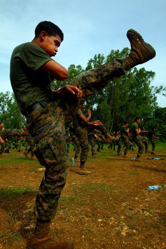 Lance Cpl. Andy Rivera, a rifleman with 2nd Platoon, Landing Force Company, performs a high kick after a demonstration by Indonesian Marines from 6th Battalion, 2nd Brigade, Korps Marinir, during martial arts training May 27. Landing Force Company, comprised primarily of Marines from 2nd Battalion, 23rd Marine Regiment and 4th Assault Amphibian Battalion, 4th Marine Division, is participating in Cooperation Afloat Readiness and Training (CARAT) 2011. CARAT is an annual series of bilateral exercises held between the U.S. and Southeast Asian nations with the goals of enhancing regional cooperation, promoting mutual trust and understanding, and increasing operational readiness.  While in Indonesia, the service members from both nations will train together on martial arts, military operations on urban terrain, jungle warfare, combat marksmanship and combat lifesaving. (U.S. Marine Corps Photo by Cpl. Aaron Hostutler)