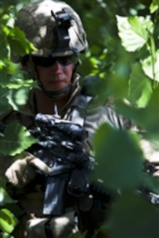 U.S. Marine Corps Cpl. Garrett W. Bush, with 1st Platoon, Lima Company, 3rd Battalion, 4th Marine Regiment, Regimental Combat Team 8, walks through foliage during a patrol in Sangin, Afghanistan, on May 11, 2011.  Patrols are used to interact with area residents and show military presence.  