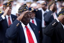 NEW YORK - Members of various veteran service organizations salute the American Flag during the Memorial Day wreath laying ceremony at the Soldiers' and Sailors' Monument, May 30. More than 3,000 Marines, Sailors and Coast Guardsmen in the area participating in community outreach events and equipment demonstrations as part of Fleet Week New York 2011. This is the 27th year New York has hosted the sea services for Fleet Week. (Official Marine Corps photo by Sgt. Randall A. Clinton / RELEASED)