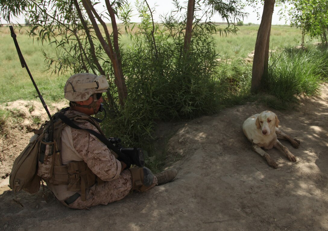 Navy Capt. Christopher J. Cobb, from Poughkeepsie, N.Y., the Combat Dentistry Detachment officer in charge with Alpha Surgical Company, 2nd Marine Logistics Group (Forward), conducts a wisdom tooth extraction on Lance Cpl. Eduardo A. Barrera, from Los Banos, Calif., a motor transportation operator with 3rd Battalion, 4th Marine Regiment, 2nd Marine Division (Fwd.), May 30, 2011, aboard Camp Leatherneck, Afghanistan.