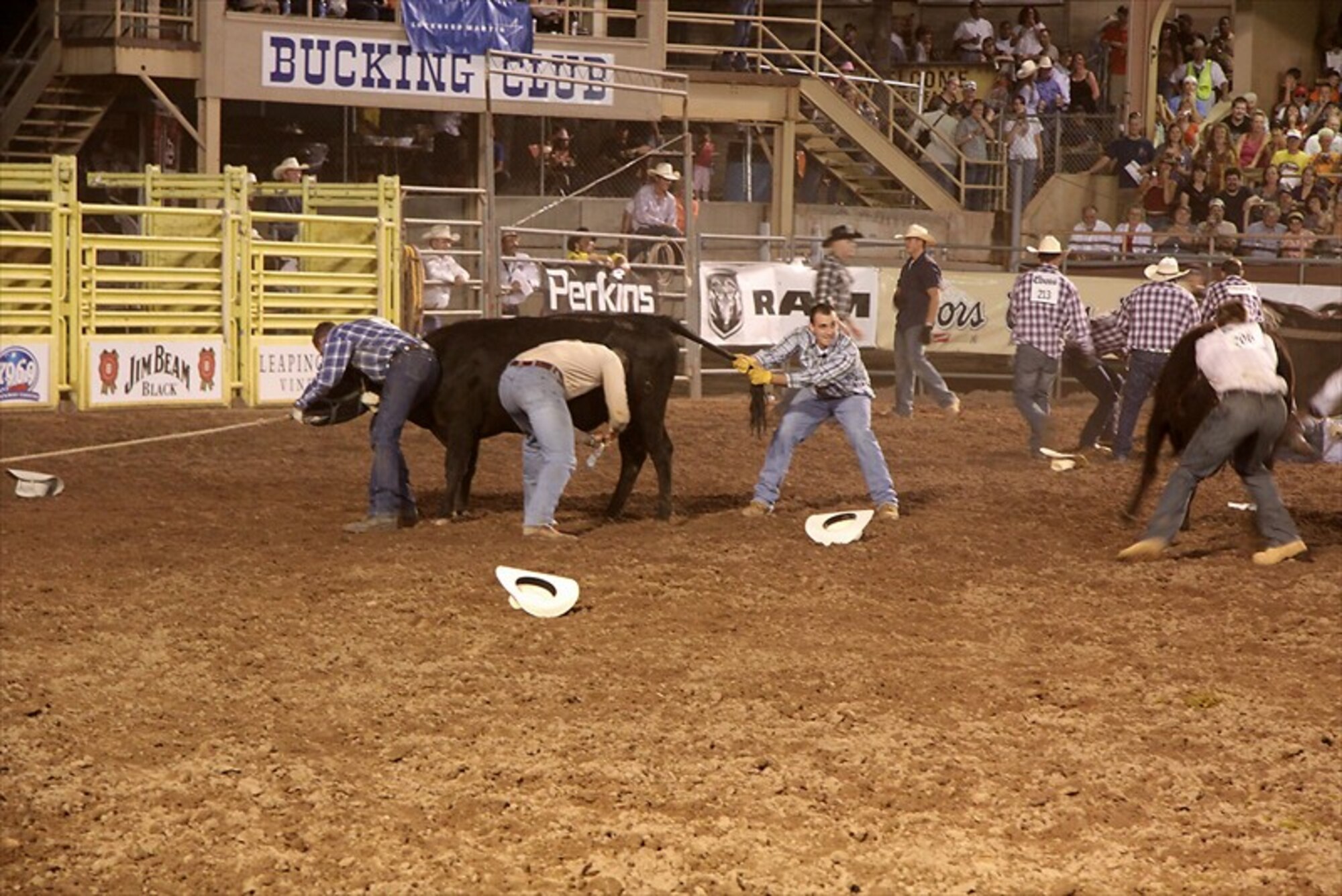 Competitors race to be the first to get a few drops of milk from their cow during the 2010 Pikes Peak or Bust Rodeo Days “Wild Cow Milking” contest at the Norris-Penrose Event Center. Wild Cow Milking is just one of hundreds events held during the annual rodeo, which donates thousands of dollars every year to private military organizations. This year’s rodeo runs July 13-16. For details go to www.coloradospringsrodeo.com. (Photo courtesy of Jane Rodgers)  