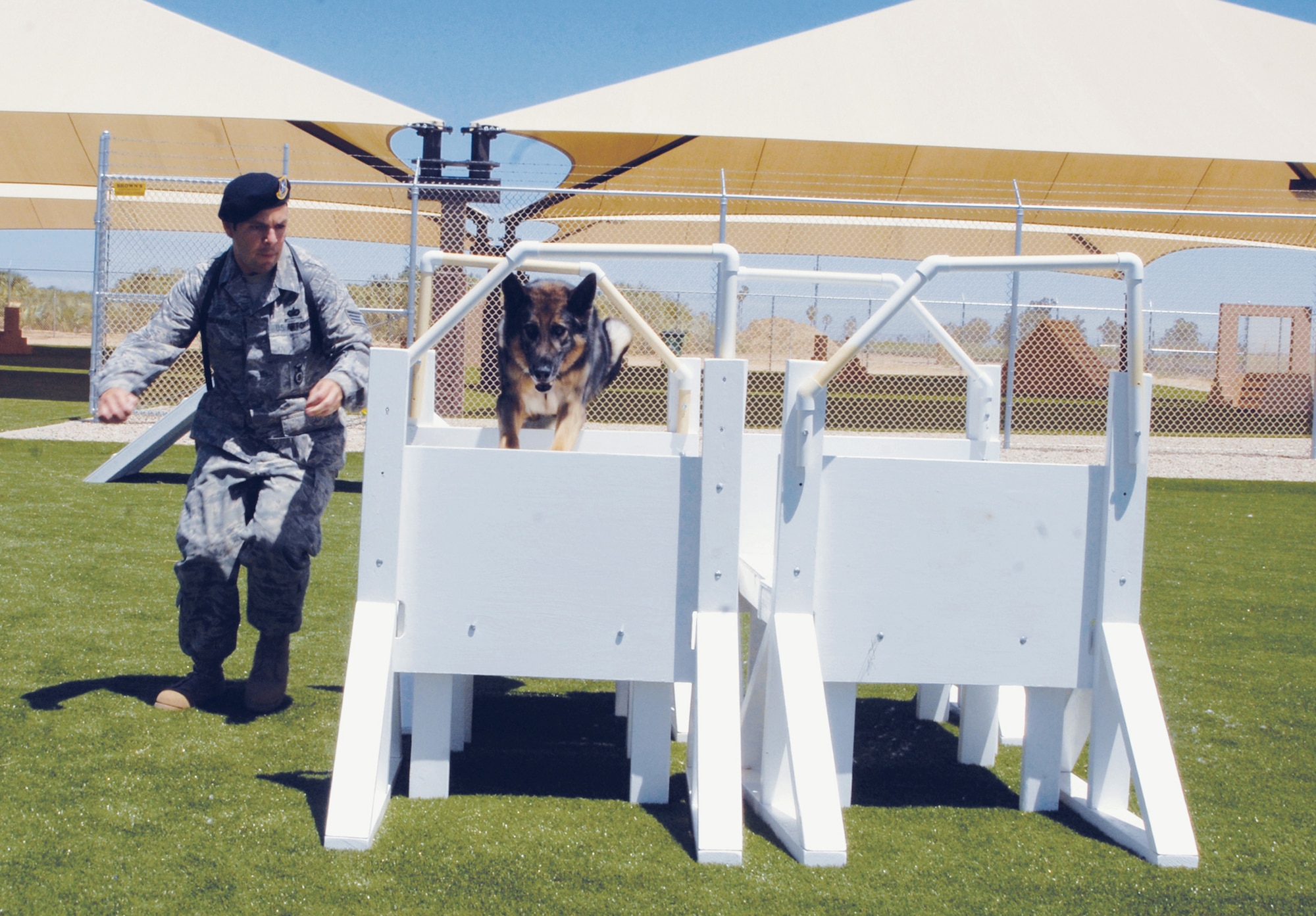 Staff Sgt. Gabriel Bravo has Rex jump through a simulated car window at the MWD kennel May 23, 2011, at Luke Air Force Base, Ariz.Sergeant Bravo is a 56th Security Forces SquadronMWD handler.(U.S. Air Force photo/Airman 1st Class David Owsianka)
