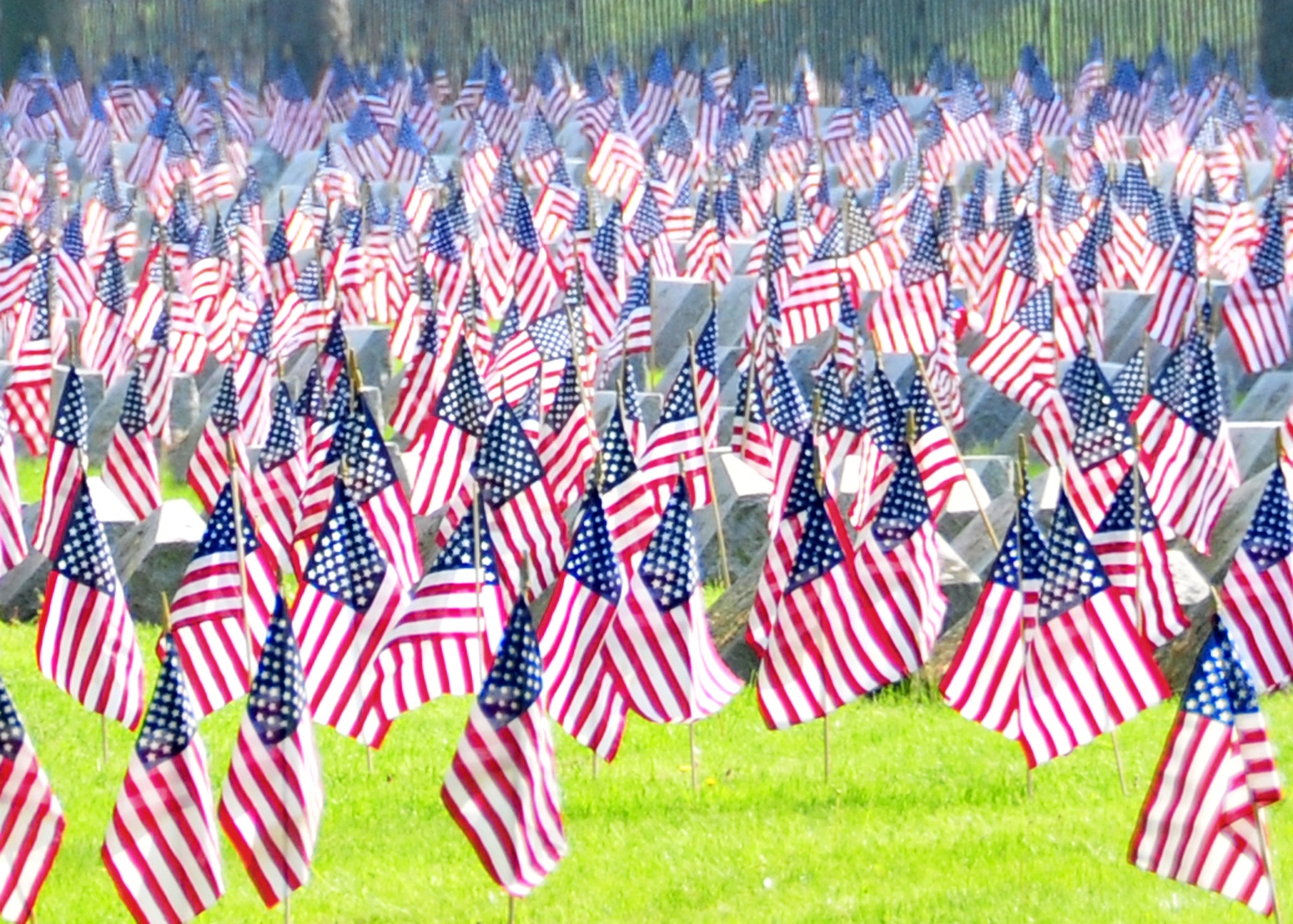Volunteers placed American flags on graves during a Memorial Day ceremony May 30, 2011, at Forest Lawn Cemetery in Buffalo, NY. (U.S. Air Force photo/Staff Sgt. Joseph McKee)