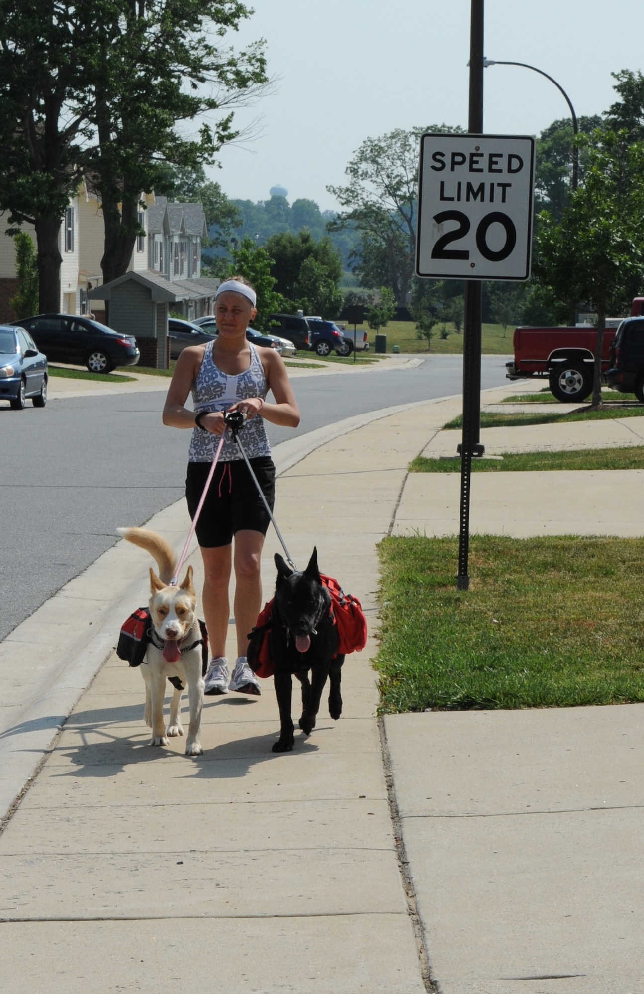 Kiki Schmit, wife of Airman 1st Class Carl Schmit, 436th Aerial Port Squadron, takes her dogs Alice and Ariel for a walk May 30, 2011, at Dover Air Force Base, Del. (U.S. Air Force photo by Staff Sgt. Chad Padgett)