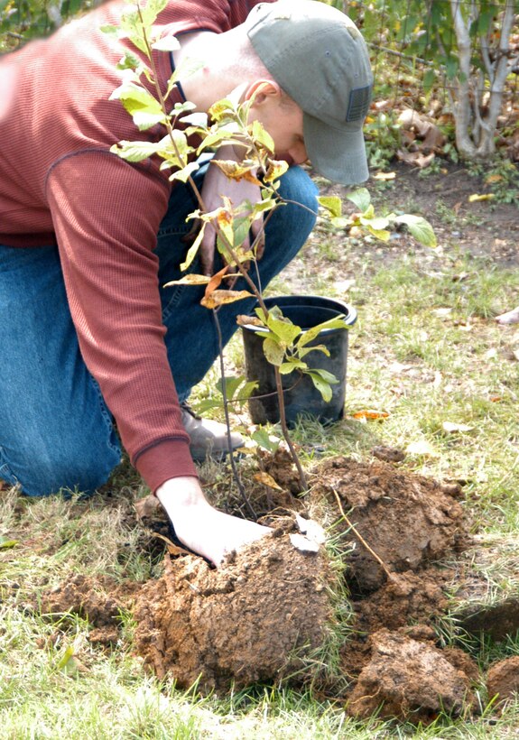 An Air Force Office of Special Investigations member plants a tree in front of one of the Action In Community Through Service buildings. Several OSI members took time off to give back to their community by sprucing up the grounds around one of the ACTS facilities Oct 31. ACTS is a community service agency that works in the northern Virginia area to alleviate hunger, homelessness and domestic violence, and to help people achieve self-sufficiency. (U.S. Air Force Photo by Mr. James C. Dillard)