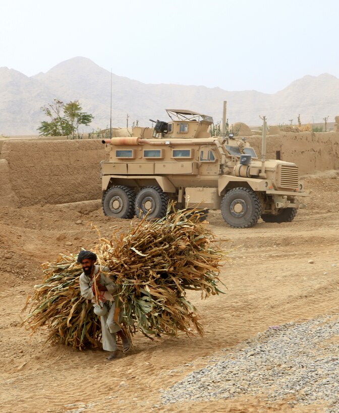 A local farmer carries corn crops past tactical vehicles with 7th Engineer Support Battalion, 2nd Marine Logistics Group (Forward), in Helmand province, Afghanistan, Nov. 3.  The Marines with 7th ESB spent multiple days repairing Route 611 without disturbing the locals.  (U.S. Marine Corps photo by Cpl. Katherine M. Solano)