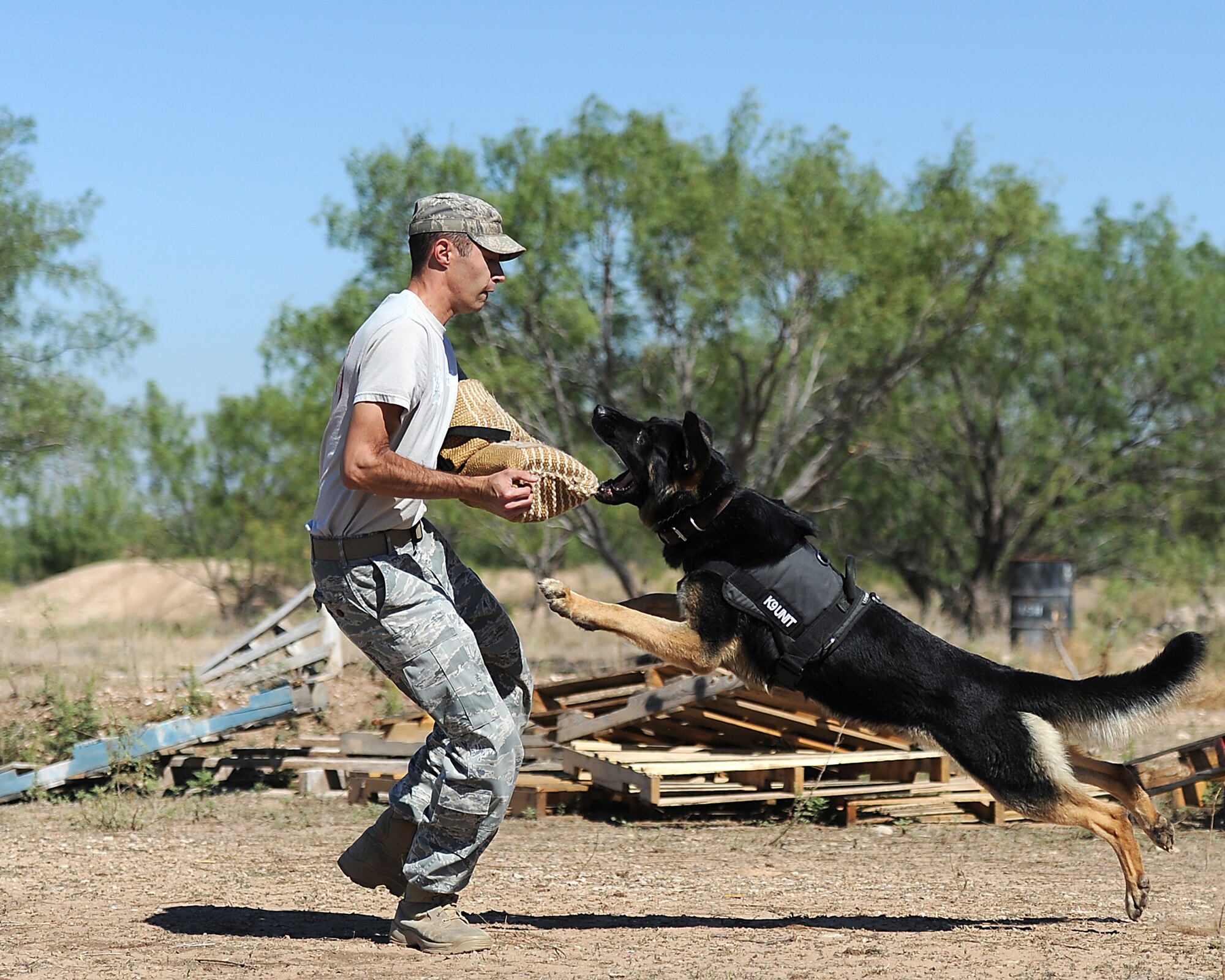 GOODFELLOW AIR FORCE BASE, Texas – Staff Sgt. Christopher Bauer, 17th Security Forces Squadron dog handler, braces for attack by a military working dog named Jork here Oct. 12. Military working dogs go through regular and rigorous training in order to maintain precision of commands given and skills learned. (U.S. Air Force photo/Airman 1st Class Michael Smith)