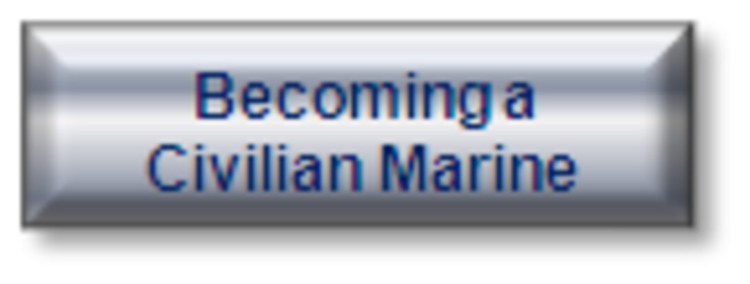 USMC Civilian Marines Button