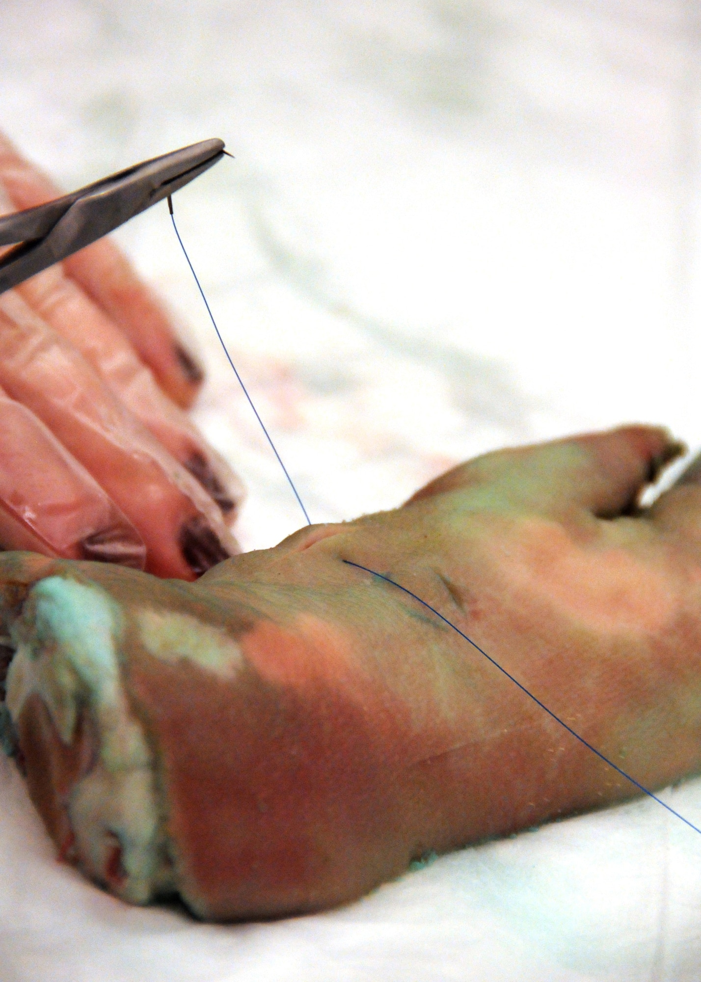An Airman pulls a thread for a simple suture on a pig’s foot laceration at Duke Field, Fla., Nov 6.  The 919th Medical Squadron conducted training on simple- interrupted sutures and mattress sutures using pigs’ feet during the November unit training assembly. (U.S. Air Force photo/Tech. Sgt. Cheryl L. Foster)