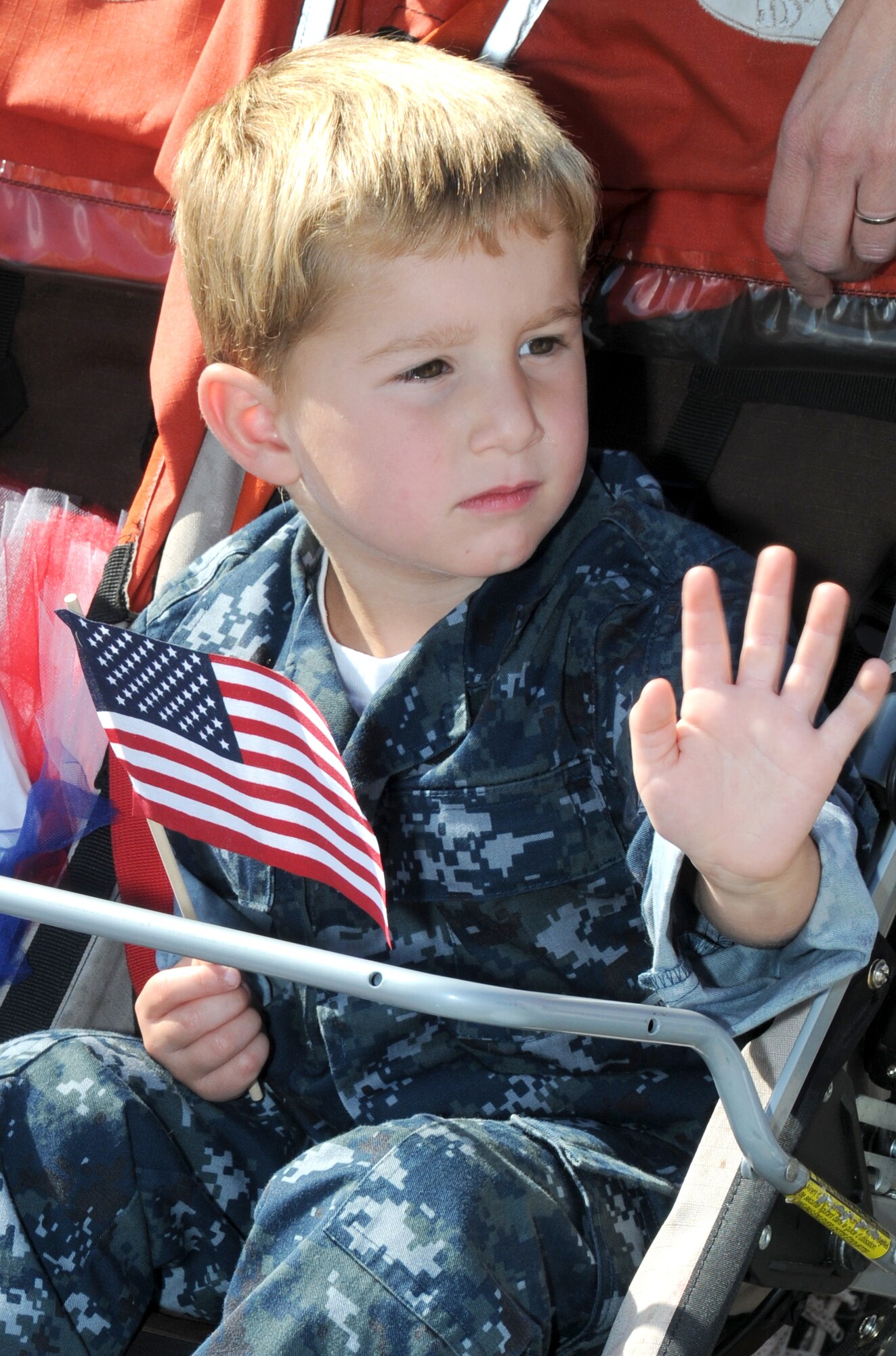 Veterans day meal today