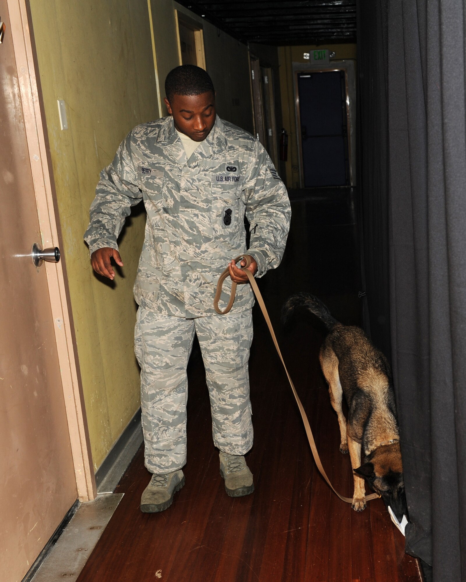 U.S. Air Force Staff Sgt. Sedale Berry, 18th Security Forces Squadron military working dog (MWD) handler, and MWD Judi search for a training aid at the Keystone Theater on Kadena Air Base, Japan, Nov. 9, 2011. During the exercise the MWDs were trained on odor recognition by searching for hidden training aids. (U.S. Air Force photo/Junko Kinjo/released)