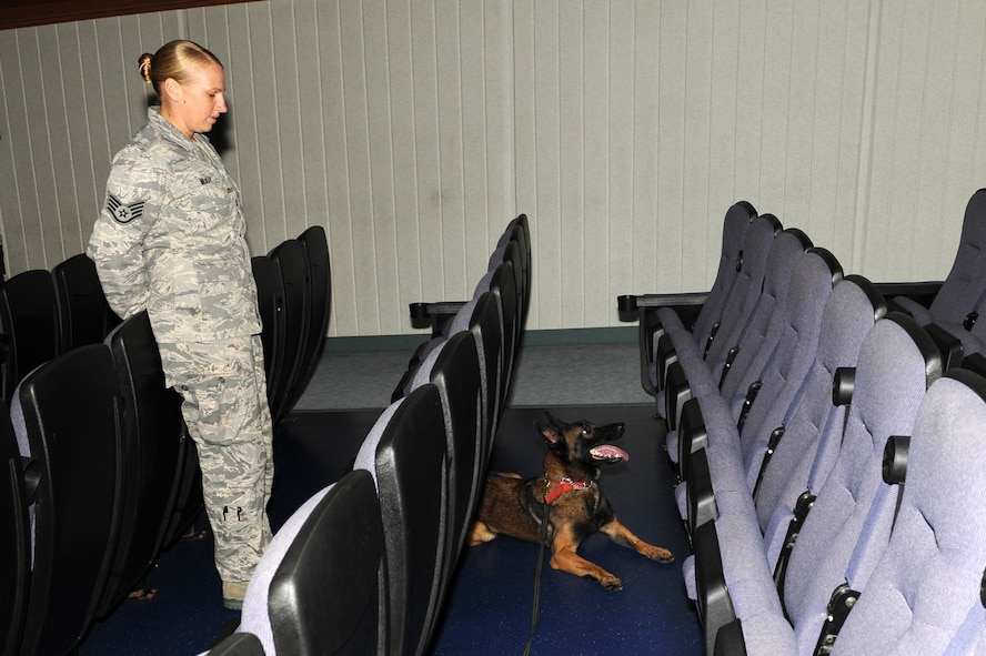 U.S. Air Force Staff Sgt. Kristen Mckay, 18th Security Forces Squadron military working dog (MWD) handler, watches as MWD Aiyla responds after finding a training aid at the Keystone Theater on Kadena Air Base, Japan, Nov. 9. During the exercise the MWDs were trained on odor recognition by searching for hidden training aids. (U.S. Air Force photo/Junko Kinjo/released) 
