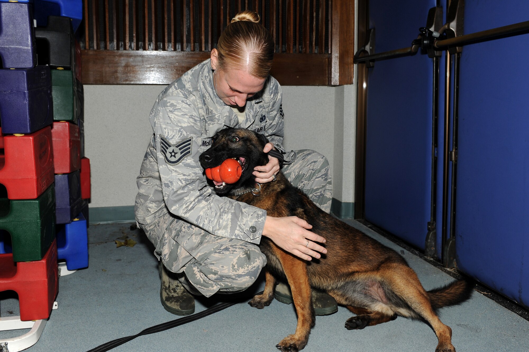 U.S. Air Force Staff Sgt. Kristen Mckay, 18th Security Forces Squadron military working dog (MWD) handler, praises MWD Aiyla after she found a hidden training aid during training at the Keystone Theater on Kadena Air Base, Japan, Nov. 9, 2011. During the detection training exercise the MWDs were trained on odor recognition by searching for hidden training aids. (U.S. Air Force photo/Junko Kinjo/released)