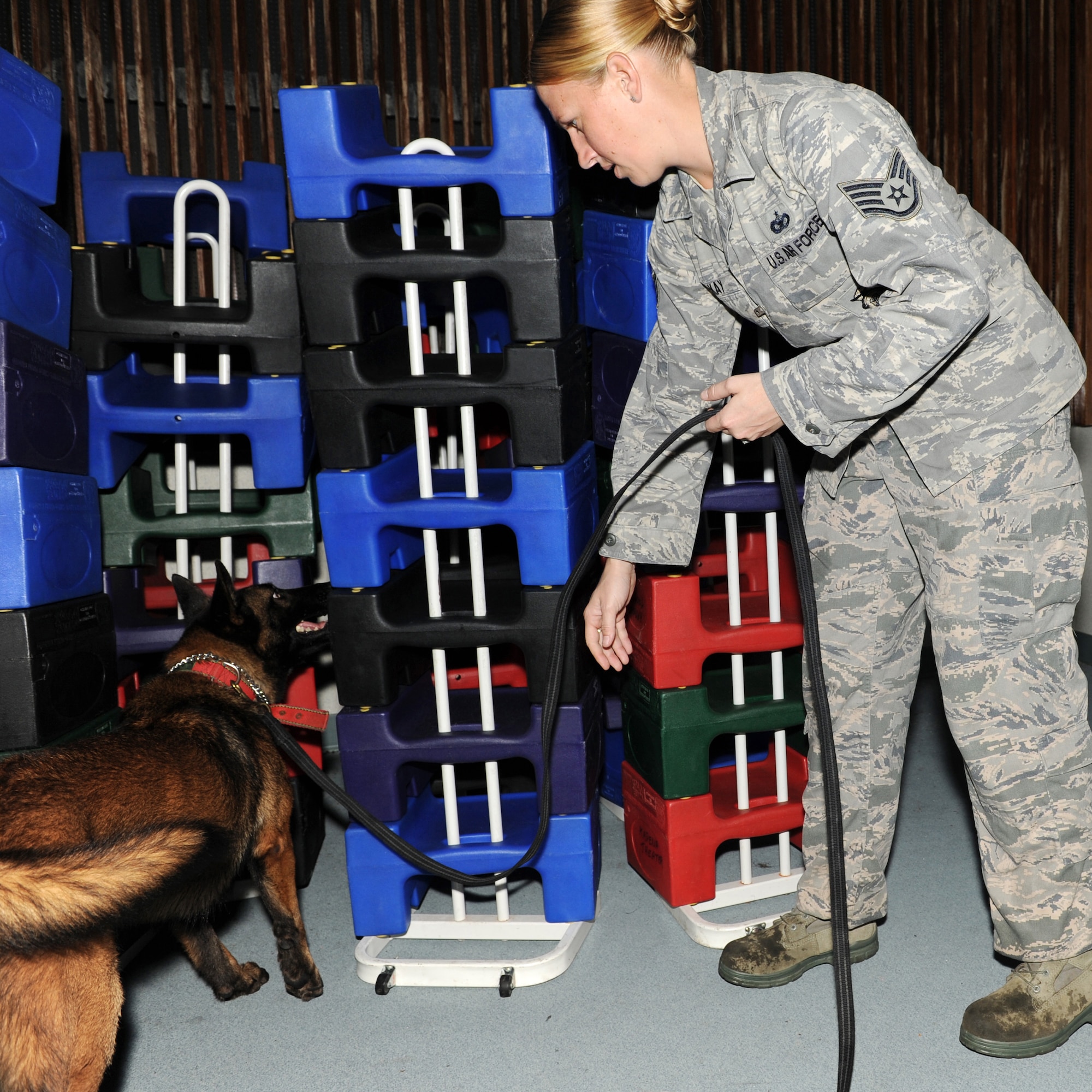 U.S. Air Force Staff Sgt. Kristen Mckay, 18th Security Forces Squadron military working dog (MWD) handler, and MWD Aiyla participate in detection training at the Keystone Theater on Kadena Air Base, Japan, Nov. 9, 2011. During the exercise the MWDs were trained on odor recognition by searching for hidden training aids. (U.S. Air Force photo/Junko Kinjo/released)