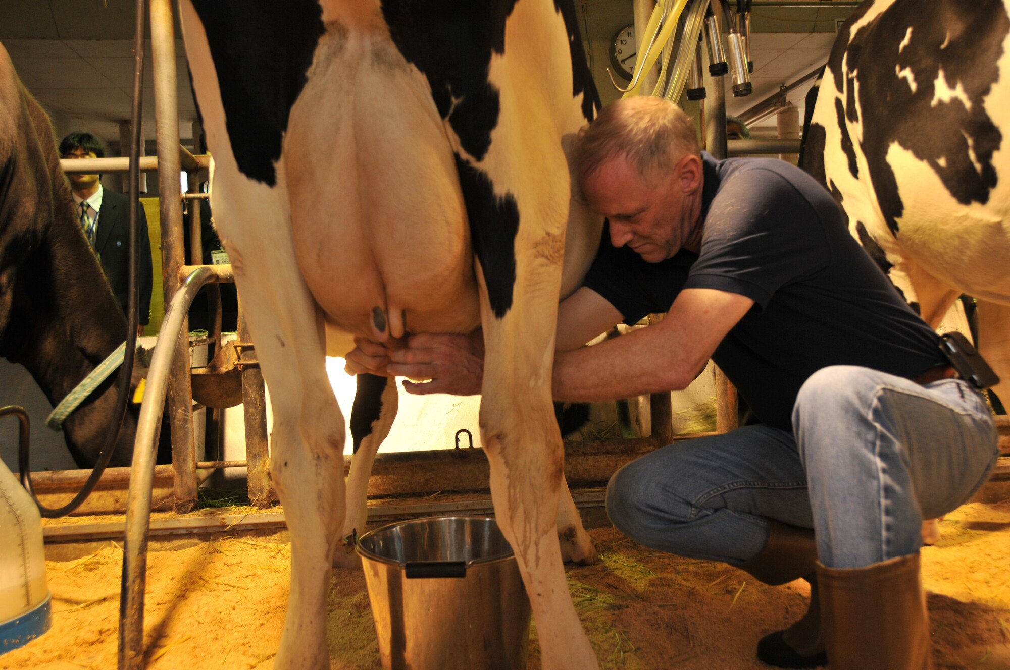 MIZUHO, Japan -- Col. Otto Feather, 374th Airlift Wing commander, milks a cow at Mizuho Nogei High School, Nov. 14, 2011, in Mizuho, Japan. Colonel Feather took a tour of the high school's livestock science department and got back to his cow-milking roots. (U.S. Air Force photo/Airman 1st Class Desiree Economides)