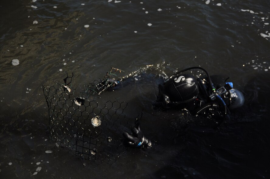 Students from Air Force Special Operations Command Special Tactics Training Squadron, Hurlburt Field, Fla., participate in a cleanup of the Hurlburt Marina Nov. 12, 2011. Volunteers cleared the waterways of 3,700 pounds of debris.(U.S. Air Force photo/Rachel Arroyo) RELEASED