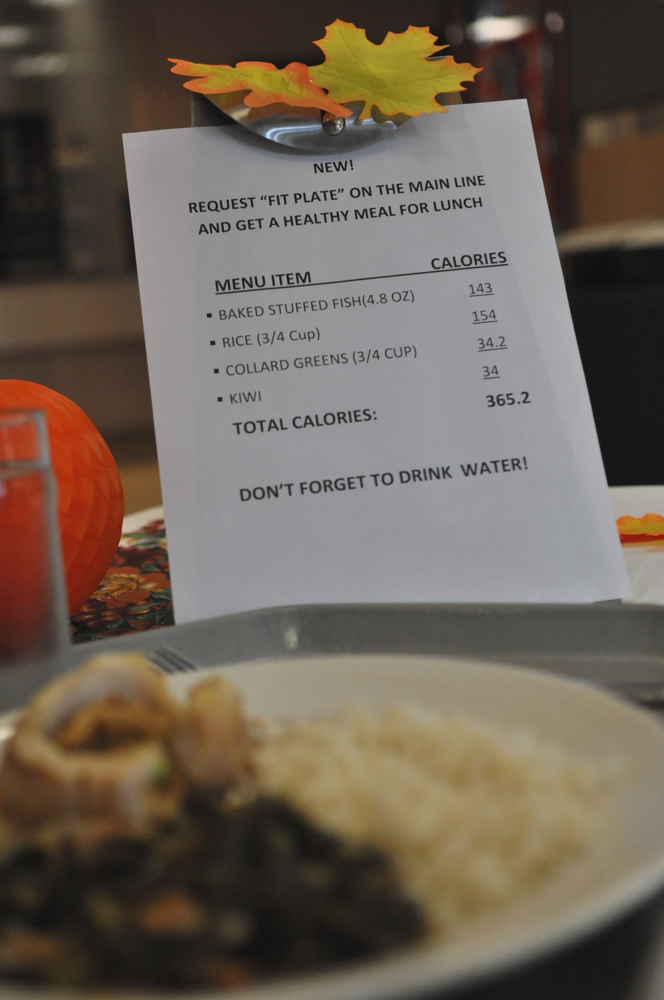 The Fit Plate can be found everyday during breakfast, lunch and dinner at the Olympic Dining Facility on McChord Field. Prominently displayed near the front entrance, the Fit Plate makes it easier for customers to identify the healthiest possible food option for that particular meal. (U.S. Air Force photo/Airman 1st Class Leah Young)