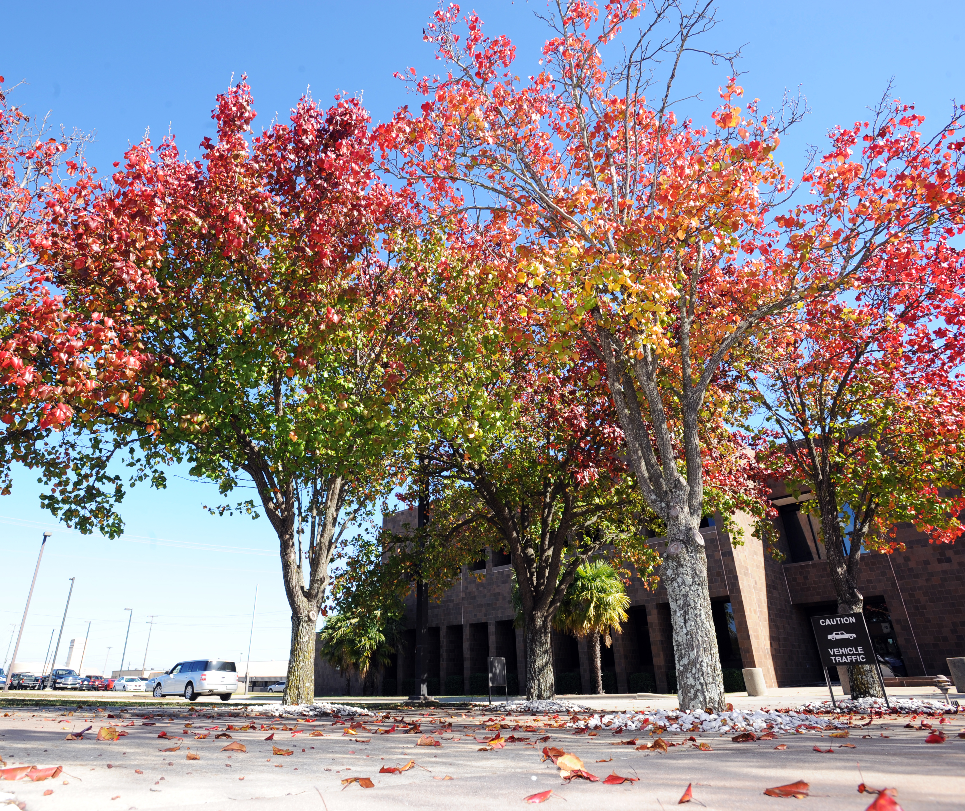 Autumn at Shaw Air Force Base