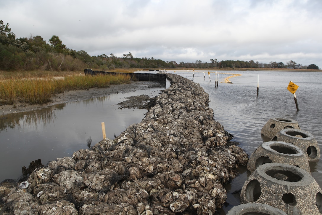 Volunteers, including service members from Marine Corps Base Camp Lejeune, constructed an oyster reef along a segment of the North Carolina Shore on Nov. 17 with the N. C. Coastal Federation. The reef will act as a living shoreline, protecting the coast from erosion.  (Official U.S. Marine Corps photo by Pfc. Jackeline M. Perez Rivera)