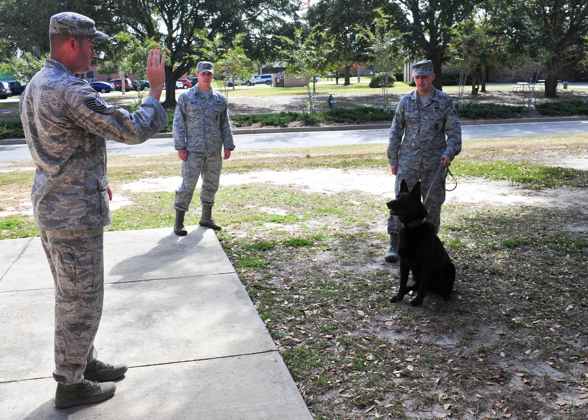U.S. Air Force military working dog Lola, a Shepherd, sits for Tech. Sgt. Jeremy Burkeen, 820th Combat Operations Squadron MWD trainer, before entering the veterinary treatment facility for an initial health check at Moody Air Force Base, Ga., Nov. 7, 2011. Upon arriving to a new base, MWDs have to remain in their kennels for the first five days to get acclimated to the environment. After the five days, handlers train with their dog’s everyday to develop a strong relationship. (U.S. Air Force photo by Staff Sgt. Stephanie Mancha/Released)