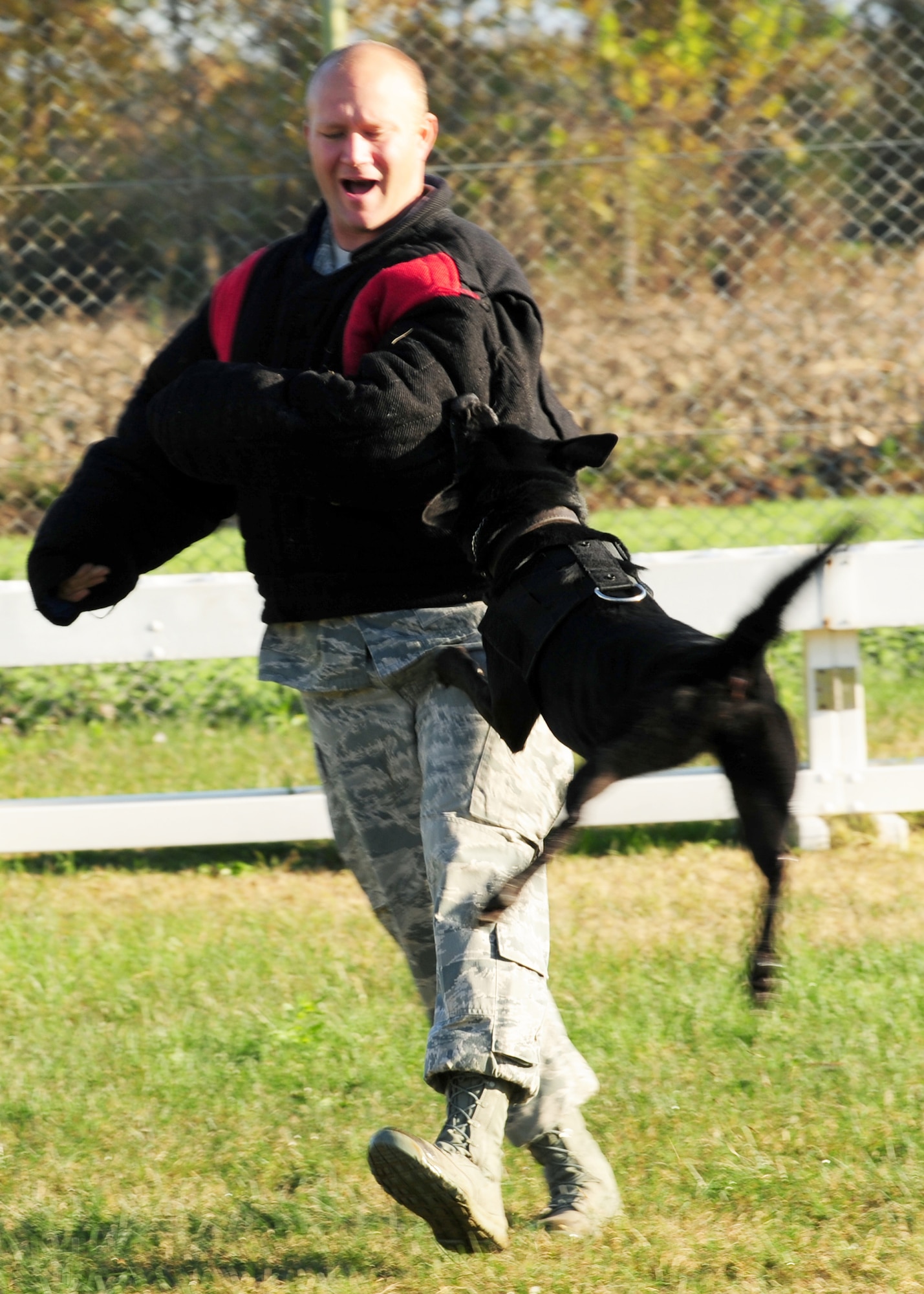 Staff Sgt. Daniel Wilson, 31st Security Forces Squadron military working dog trainer, is being attacked by Tora, a military working dog, Nov. 17 at Aviano Air Base, Italy. This exercise helps train the MWD's for real world scenarios. (U.S. Air Force photo/Airman 1st Class Briana Jones)