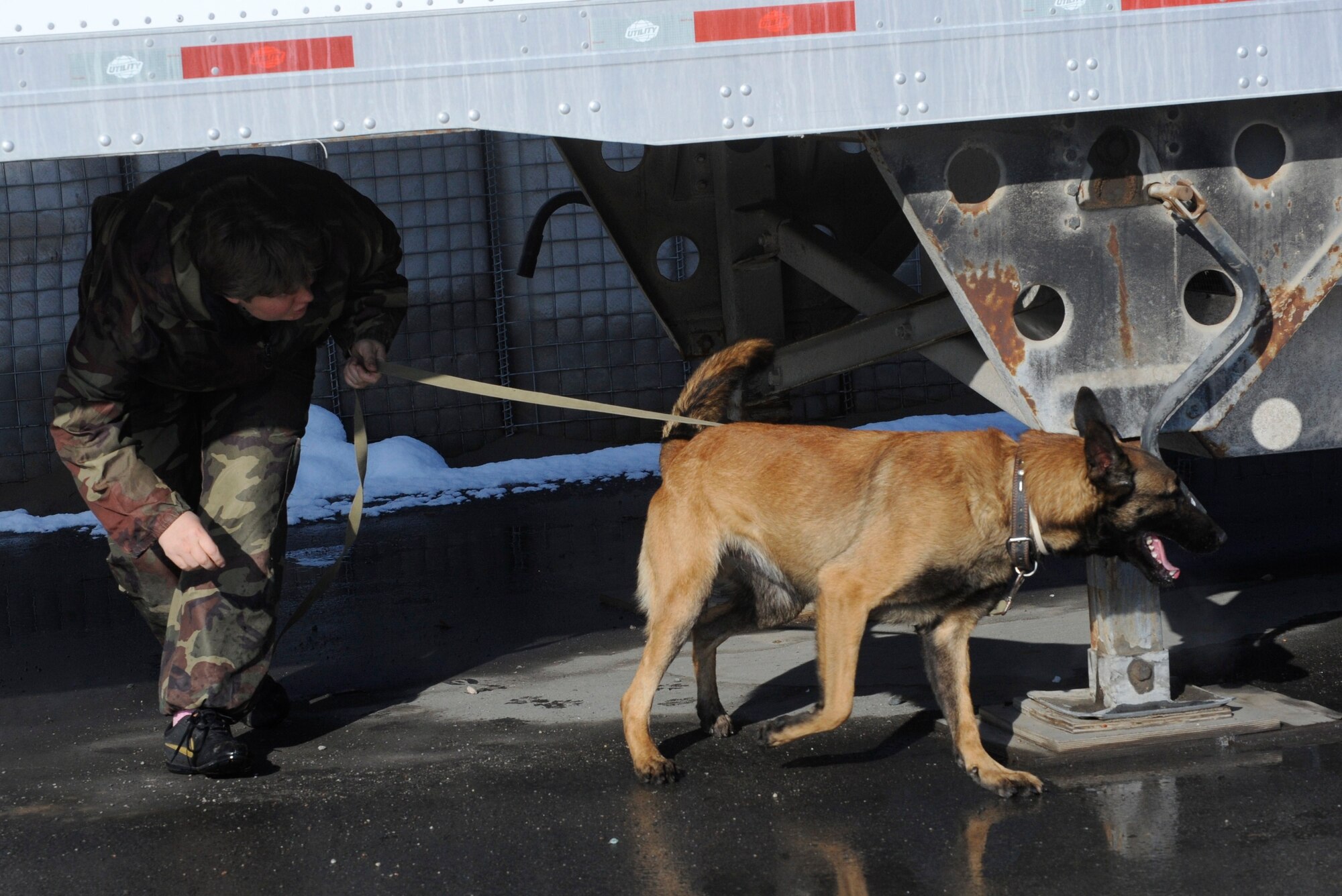 Kyrgyz Republic Lt. Col. Natalie Balavrikova follows Agat as he sniffs for explosives during a detection exercise at the Transit Center at Manas, Kyrgyzstan, Nov. 15. Twice a week, dog handlers from the 376th Expeditionary Security Forces Squadron and the Kyrgyz Republic run through various scenarios to help maintain their dog’s proficiency levels. Balavrikova and Agat, a 3-year old Belgian Malinois, work for the National Security Service of Kyrgyzstan. (U.S. Air Force photo/Tech. Sgt. Tammie Moore)
