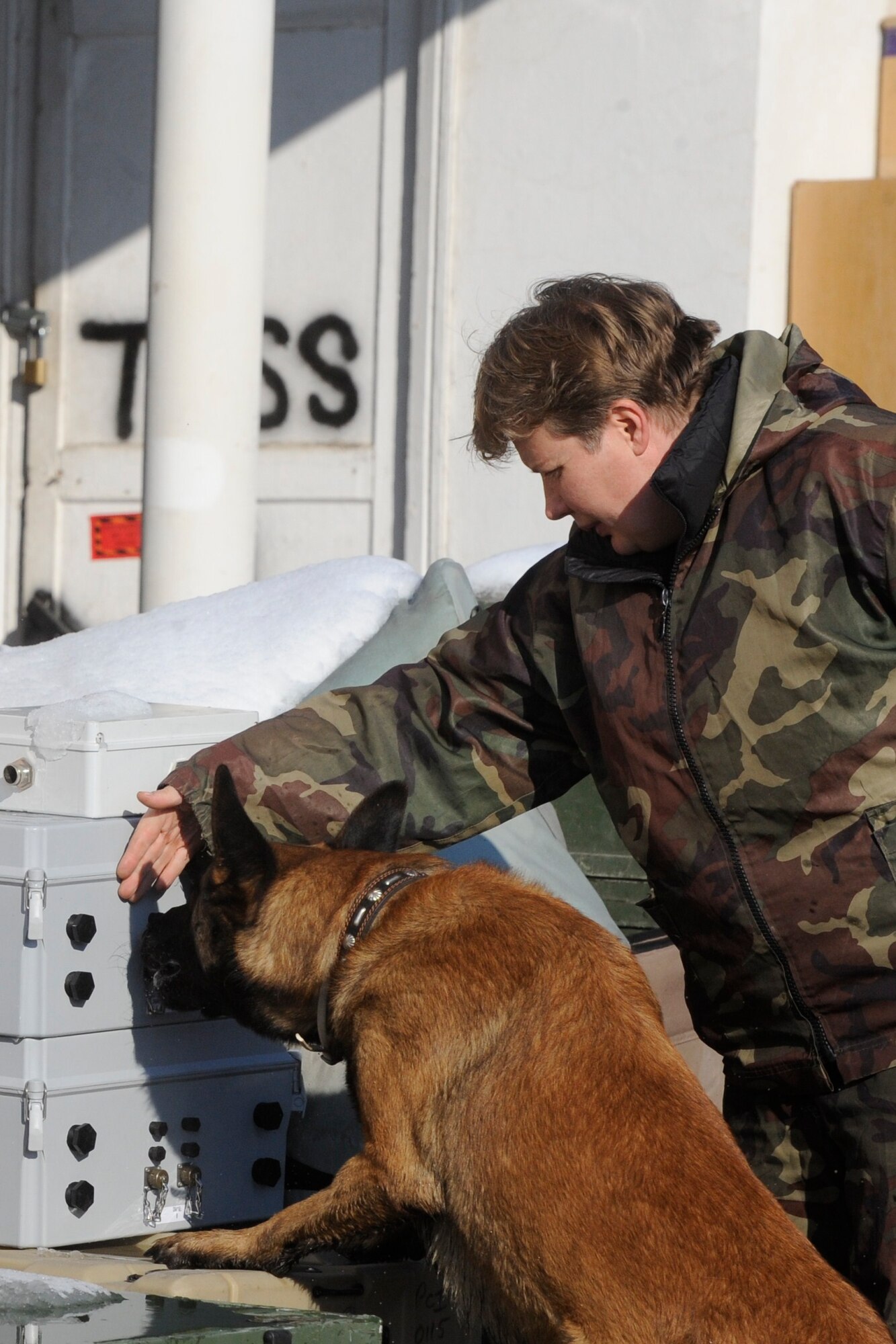 Kyrgyz Republic Lt. Col. Natalie Balavrikova leads Agat through an explosives detection exercise at the Transit Center at Manas, Kyrgyzstan, Nov. 15. Twice a week, dog handlers from the 376th Expeditionary Security Forces Squadron and the Kyrgyz Republic run through various scenarios to help maintain their dog’s proficiency levels. Balavrikova and Agat, a 3-year old Belgian Malinois, work for the National Security Service of Kyrgyzstan. (U.S. Air Force photo/Tech. Sgt. Tammie Moore)