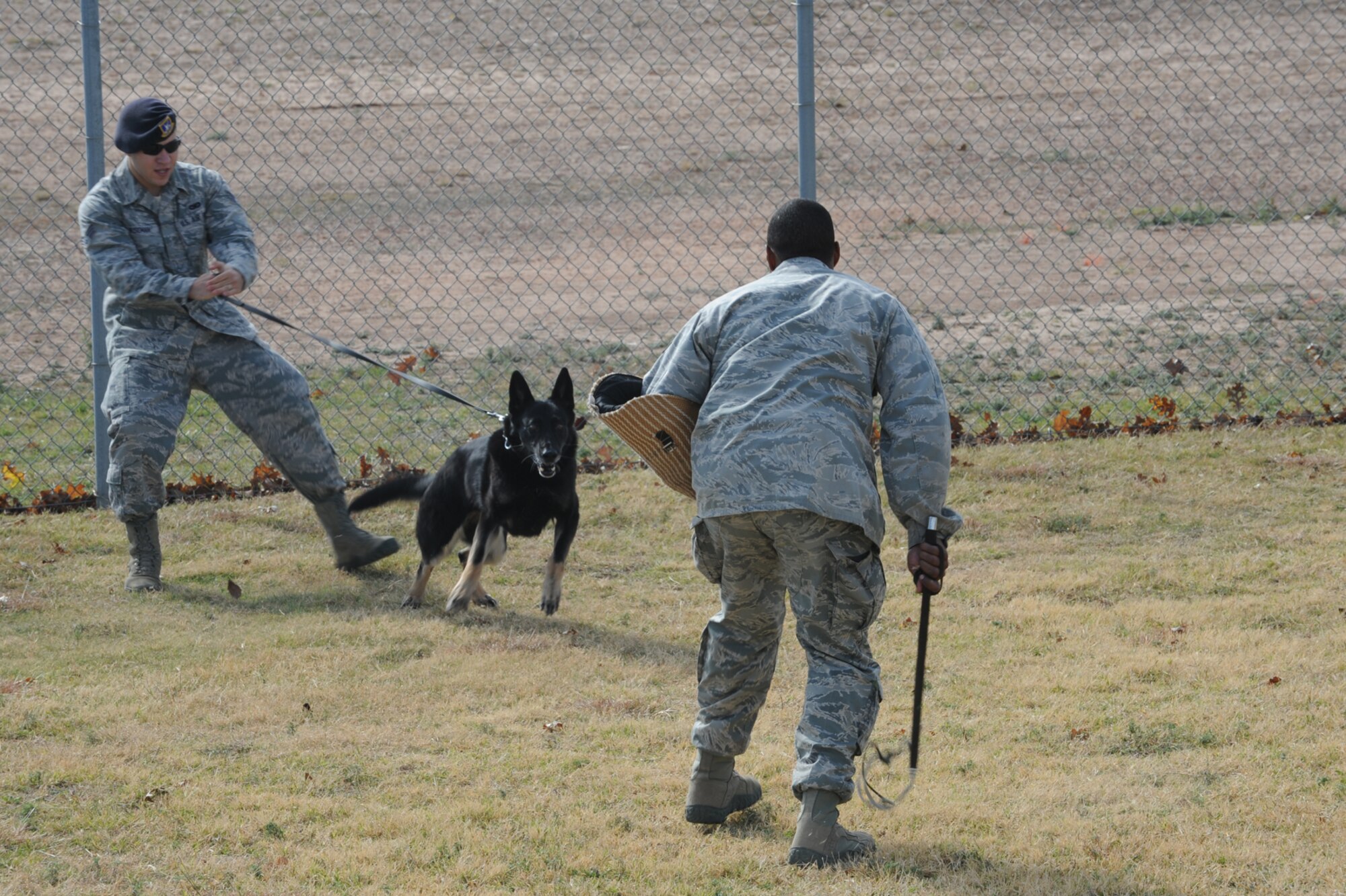 GOODFELLOW AIR FORCE BASE, Texas -- Senior Airman Tyler Wiseman, 17th Security Forces Squadron Military Working Dog Handler, maintains control of his MWD Karen during a demonstration for Community Appreciation Day Nov. 19. MWDs are an integral part of the modern Air Force law enforcement effort. (U.S. Air Force photo/Staff Sgt. Laura R. McFarlane)
