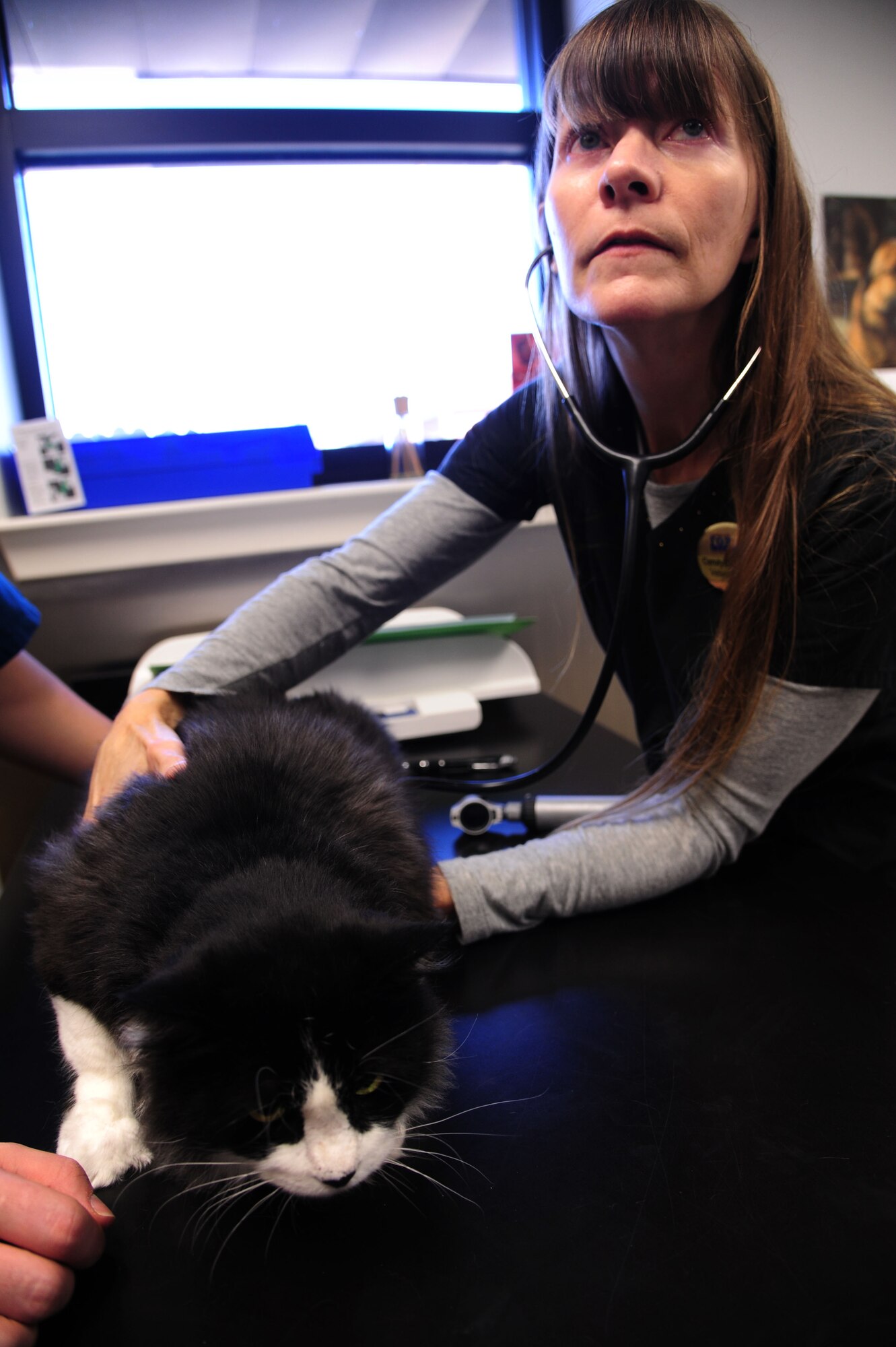 Carolyn Stewart, D.V.M., inspects the heartbeat of Meow Meow, a house tabby, Nov. 17, 2011 at the veterinarian clinic at Little Rock Air Force Base, Ark. The veterinarian clinic’s primary mission is to provide full medical care for the military working dogs to ensure the dogs are fully mission capable. (U.S. Air Force photo by Airman 1st Class Kaylee Clark)